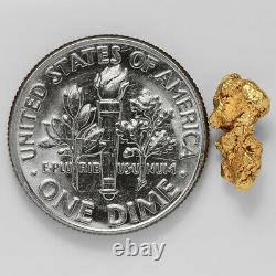 0.8073 Gram Alaska Natural Gold Nugget (#43214) FREE SHIPPING Alaskan Gold