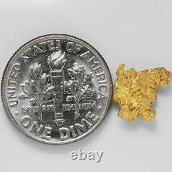 0.9167 Gram Alaska Natural Gold Nugget (#43267) FREE SHIPPING Alaskan Gold