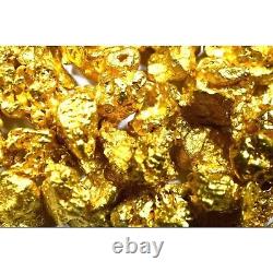 1.000 Grams Australian Natural Pure Gold Nuggets #6 Mesh W Bottle (#aub600)