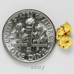 1.0348 Gram Alaska Natural Gold Nugget (#43302) FREE SHIPPING Alaskan Gold