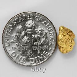 1.0385 Gram Alaska Natural Gold Nugget (#44343) FREE SHIPPING Alaskan Gold