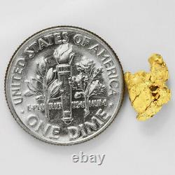 1.0410 Gram Alaska Natural Gold Nugget (#44354) FREE SHIPPING Alaskan Gold