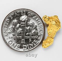 1.0425 Gram Alaska Natural Gold Nugget (#56895) FREE SHIPPING Alaskan Gold