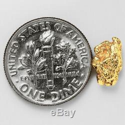 1.0441 Gram Alaska Natural Gold Nugget (#52446) FREE SHIPPING Alaskan Gold