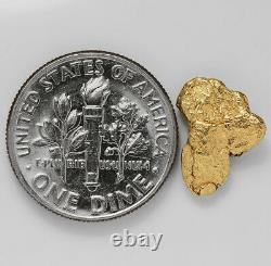 1.0463 Gram Alaska Natural Gold Nugget (#41516) FREE SHIPPING Alaskan Gold