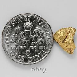 1.1146 Gram Alaska Natural Gold Nugget (#38792) FREE SHIPPING Alaskan Gold