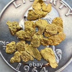 1.127 grams (23) #8 mesh Alaskan Natural Placer Gold Nuggets Free Shipping #P053