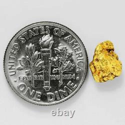1.1412 Gram Alaska Natural Gold Nugget (#41538) FREE SHIPPING Alaskan Gold