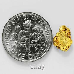 1.1412 Gram Alaska Natural Gold Nugget (#41538) FREE SHIPPING Alaskan Gold