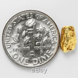 1.1415 Gram Alaska Natural Gold Nugget (#51000) FREE SHIPPING Alaskan Gold