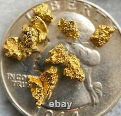 1.184 grams Ten Quality Alaskan Natural Placer Gold Nuggets Free Shipping! #B242