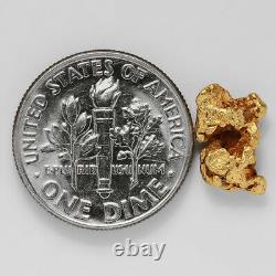 1.1847 Gram Alaska Natural Gold Nugget (#38765) FREE SHIPPING Alaskan Gold