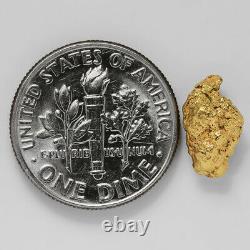 1.1898 Gram Alaska Natural Gold Nugget (#41348) FREE SHIPPING Alaskan Gold