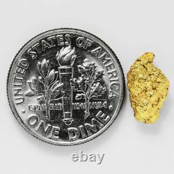 1.1898 Gram Alaska Natural Gold Nugget (#41348) FREE SHIPPING Alaskan Gold