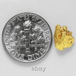 1.2257 Gram Alaska Natural Gold Nugget (#43250) FREE SHIPPING Alaskan Gold