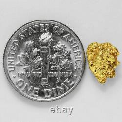 1.2257 Gram Alaska Natural Gold Nugget (#43250) FREE SHIPPING Alaskan Gold