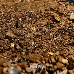 1.2kg / 42.35oz AUSTRALIAN NATURAL GOLD PAYDIRT Guaranteed Gold Pay Dirt