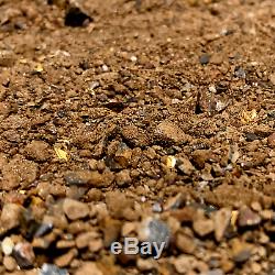 1.2kg / 42.35oz AUSTRALIAN NATURAL GOLD PAYDIRT Guaranteed Gold Pay Dirt
