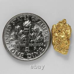 1.3135 Gram Alaska Natural Gold Nugget (#41358) FREE SHIPPING Alaskan Gold