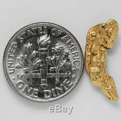 1.3253 Gram Alaska Natural Gold Nugget (#37808) FREE SHIPPING Alaskan Gold