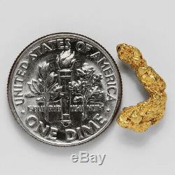 1.3374 Gram Alaska Natural Gold Nugget (#35364) FREE SHIPPING Alaskan Gold