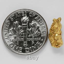 1.3422 Gram Alaska Natural Gold Nugget (#41325) FREE SHIPPING Alaskan Gold