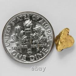 1.3490 Gram Alaska Natural Gold Nugget (#43287) FREE SHIPPING Alaskan Gold