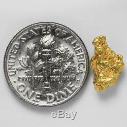 1.4066 Gram Alaska Natural Gold Nugget (#28238) FREE SHIPPING Alaskan Gold