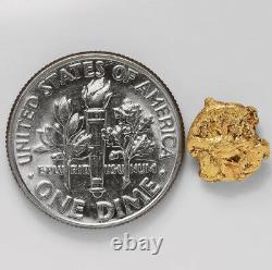 1.4151 Gram Alaska Natural Gold Nugget (#43306) FREE SHIPPING Alaskan Gold