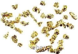 1.550 Grams Alaskan Yukon Bc Natural Pure Gold Nuggets #12 Mesh Free Shipping