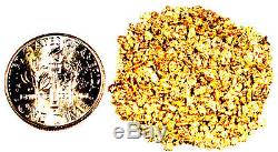 1.550 Grams Alaskan Yukon Bc Natural Pure Gold Nuggets #18 Mesh Free Shipping