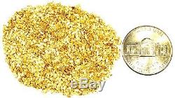 1.550 Grams Alaskan Yukon Bc Natural Pure Gold Nuggets #20 Mesh Free Shipping