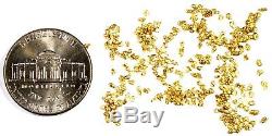 1.550 Grams Alaskan Yukon Bc Natural Pure Gold Nuggets #20 Mesh Free Shipping