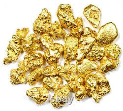 1.550 Grams Alaskan Yukon Bc Natural Pure Gold Nuggets #6 Mesh W Bottle (b600)