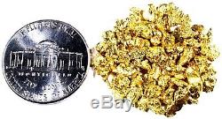 1.550 Grams Alaskan Yukon Bc Natural Pure Gold Nuggets #8 Mesh Free Shipping