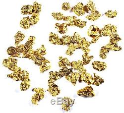 1.550 Grams Alaskan Yukon Bc Natural Pure Gold Nuggets #8 Mesh Free Shipping