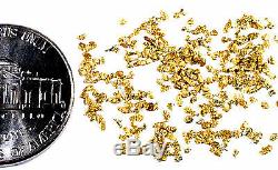 1.550 Grams Alaskan Yukon Bc Natural Pure Gold Nuggets Mesh #30 W Bottle (#b300)