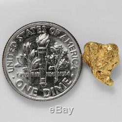 1.5688 Gram Alaska Natural Gold Nugget (#41356) FREE SHIPPING Alaskan Gold