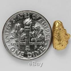 1.5989 Gram Alaska Natural Gold Nugget (#38834) FREE SHIPPING Alaskan Gold