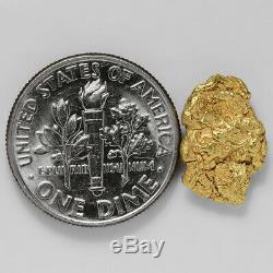 1.6319 Gram Alaska Natural Gold Nugget (#41335) FREE SHIPPING Alaskan Gold
