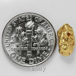 1.6772 Gram Alaska Natural Gold Nugget (#41310) FREE SHIPPING Alaskan Gold