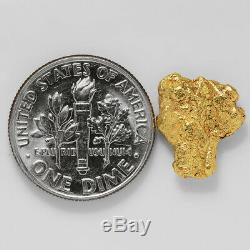 1.7334 Gram Alaska Natural Gold Nugget (#41313) FREE SHIPPING Alaskan Gold