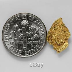 1.8248 Gram Alaska Natural Gold Nugget (#41540) FREE SHIPPING Alaskan Gold