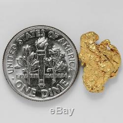 1.8661 Gram Alaska Natural Gold Nugget (#41299) FREE SHIPPING Alaskan Gold