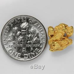 1.8691 Gram Alaska Natural Gold Nugget (#41381) FREE SHIPPING Alaskan Gold