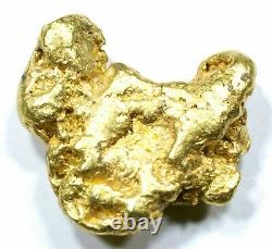 10.610 Grams Alaskan Yukon Natural Pure Gold Nugget Genuine (#n900) C Grade