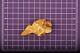 10.87 Gram Natural Gold Nugget From Australia