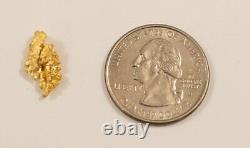 #10 Brazilian Crystalline Dendretic Natural Gold Nugget 1.99 grams