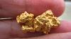 10 To 20 Grams Australia Gold Nuggets