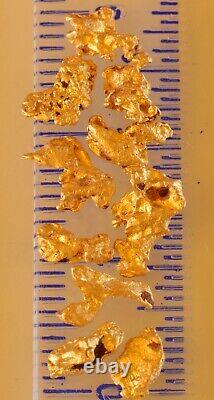 10 genuine, natural, Australian gold nuggets 2.63 gram